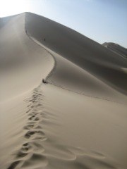 gobi desert thumb