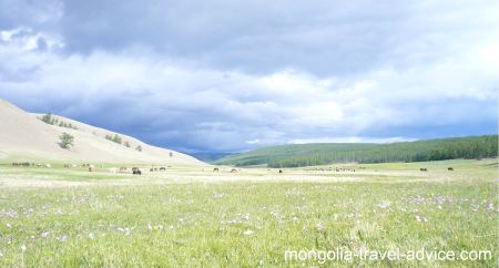 mongolia images: valley near Lake Khovsgol