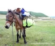 thumb horse treks
