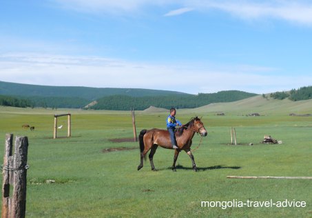 Mongolia horse travel
