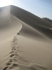 picture gobi desert sand dune 