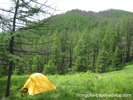 Picture Terelj national park