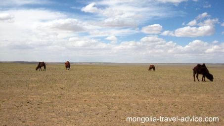 Mongolia topography Gobi Desert