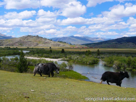 river good fishing west mongolia